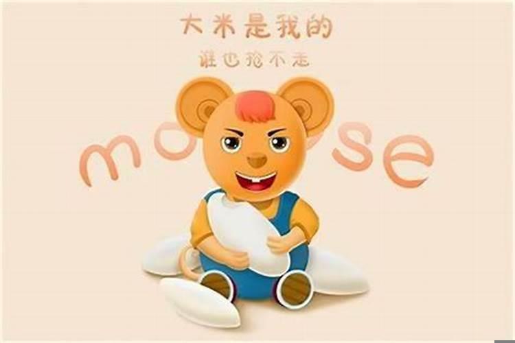 六月出生鼠运如何