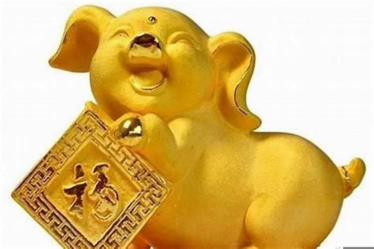 生肖猪什么星座比较好