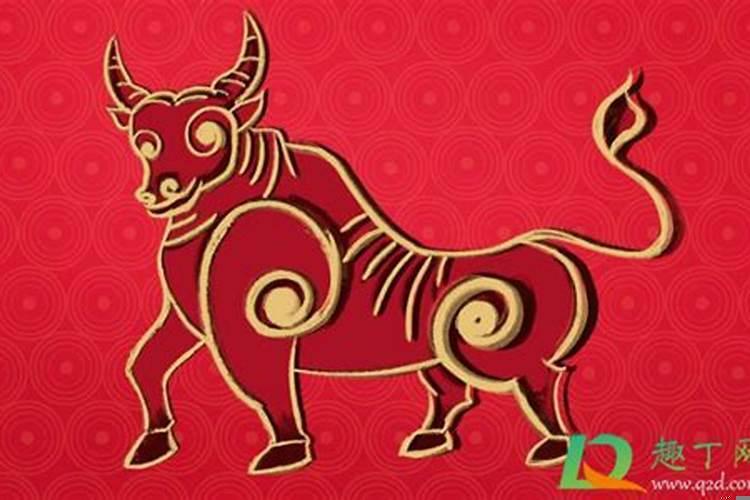 2021年哪个生肖破财之灾