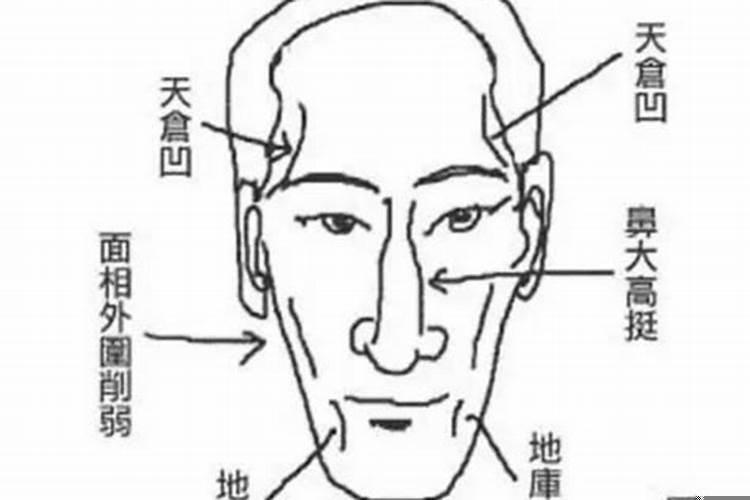 财库在面相的哪个部位