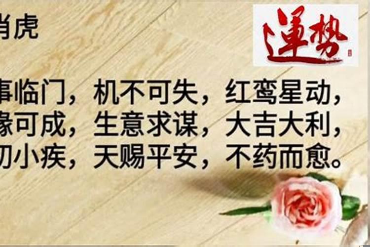 2019财运最好的五大生肖