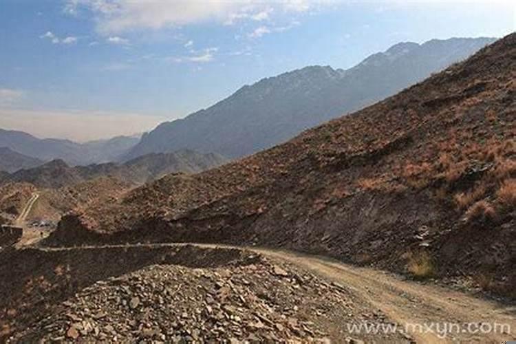 梦见老虎追我拼命的躲避