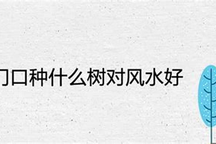 大门口栽什么树旺宅