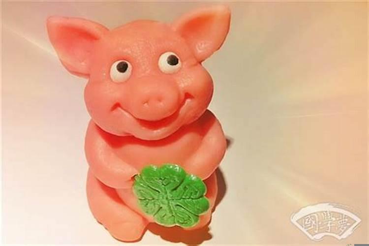 属猪穿衣服什么颜色好