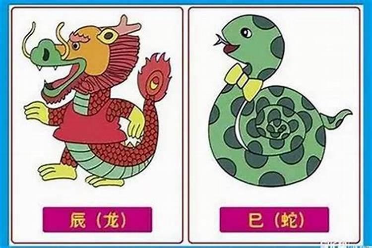 蛇和虎生肖配婚好吗?