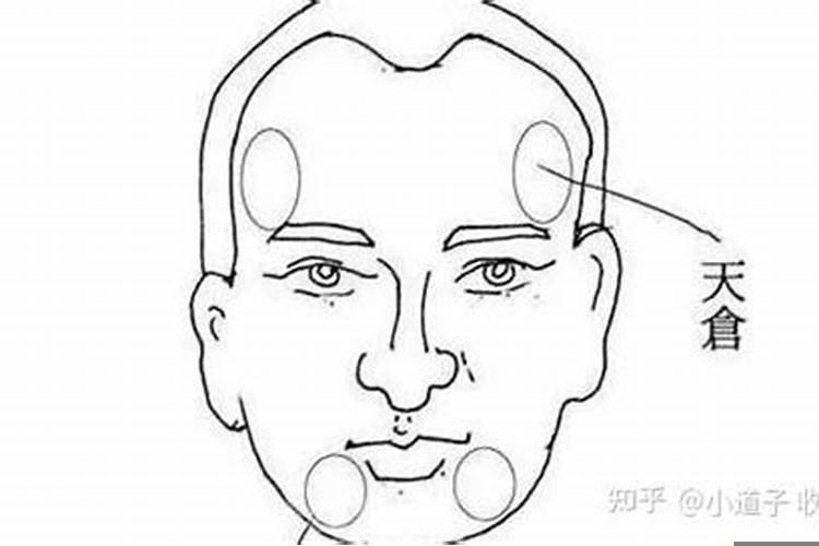 财库在面相的哪个部位