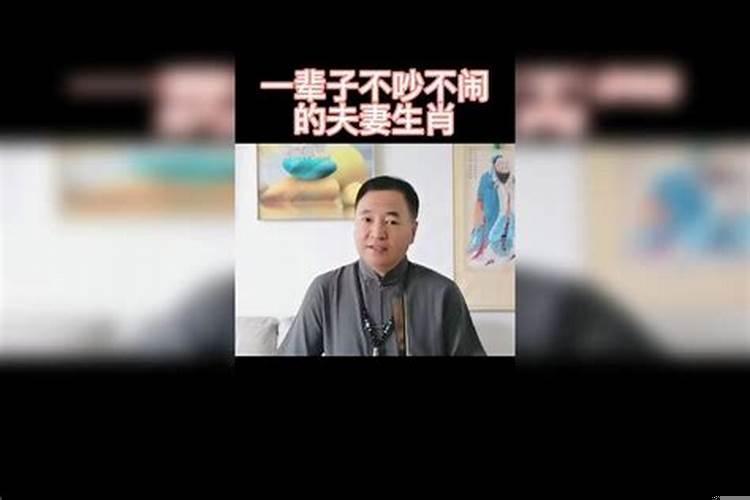 不吵不闹打一生肖