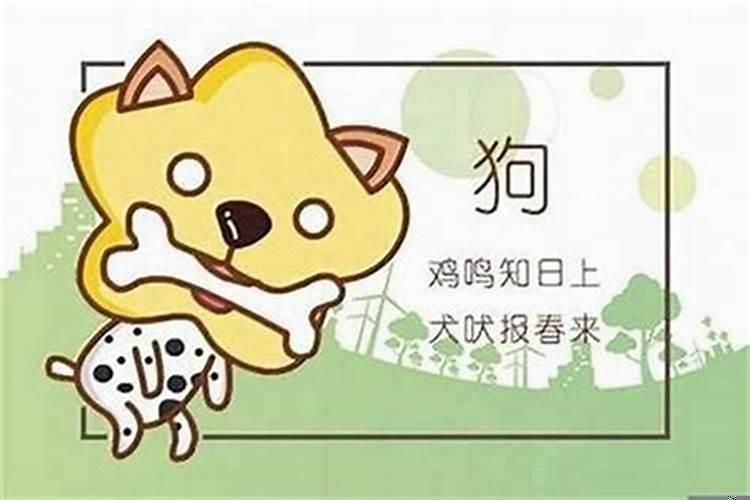 94年属狗的一生命运