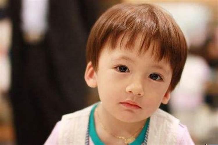 添丁是儿子还是女儿