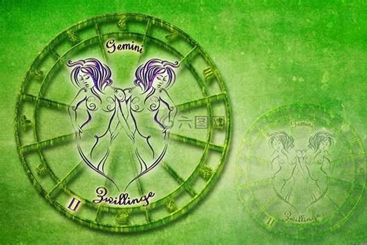 哪两个生肖是双胞胎