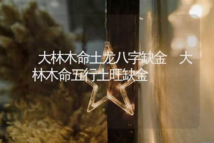 大林木命土旺缺金