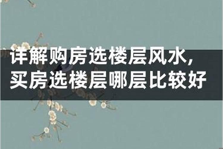 买房选什么位置风水好