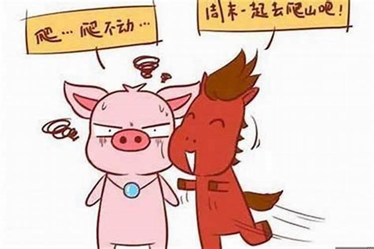 90男马和95女猪婚配好吗