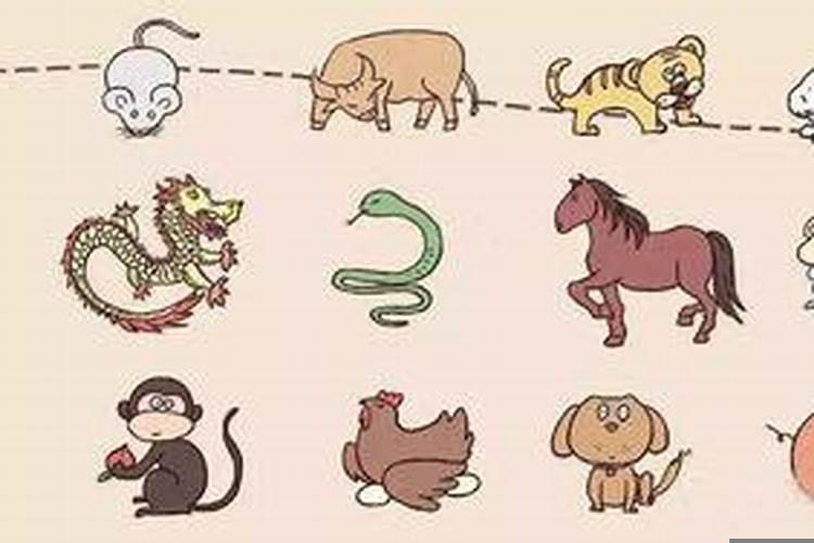 哪个生肖挣钱最厉害