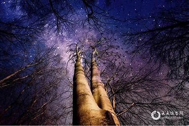 五行缺木旺土怎么办