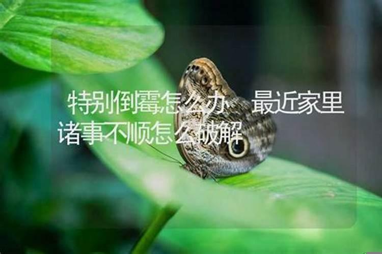 家里倒霉怎么破