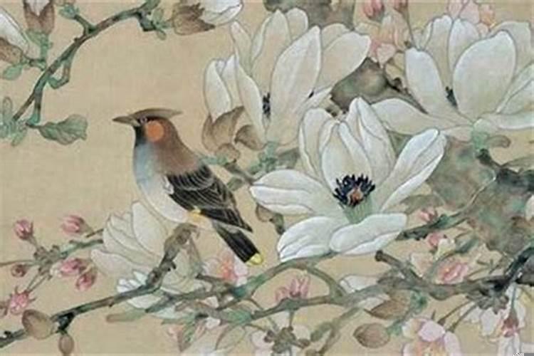 如何从八字看未来配偶长相