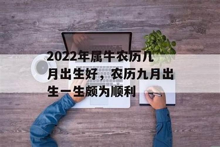 属牛生于农历九月