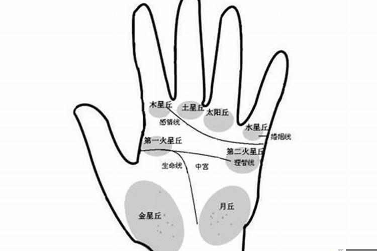 手掌看相解析