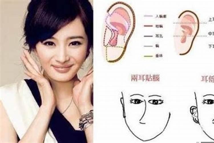 耳朵大的女人一定有福气吗