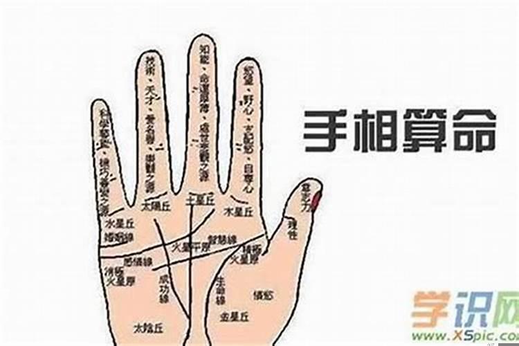 有贵人的手相怎么看