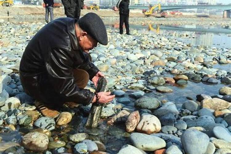 梦见捡石头预示什么呢