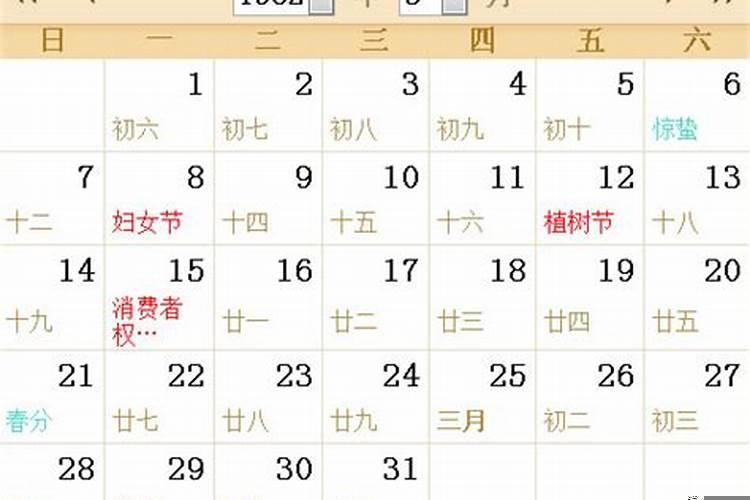 82年4月9日狗人一生的命运
