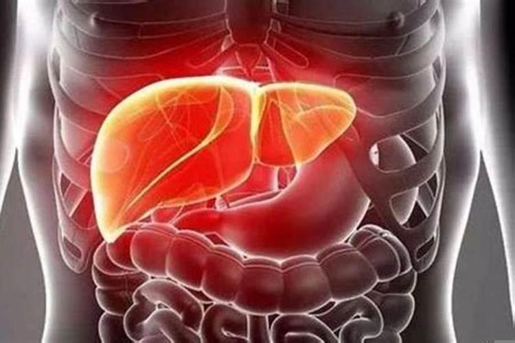 人体你不知道的冷知识