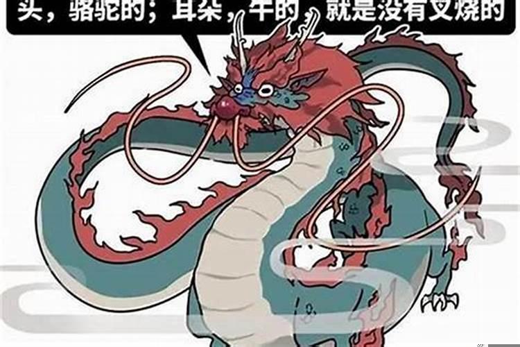 2000年金龙和什么最配