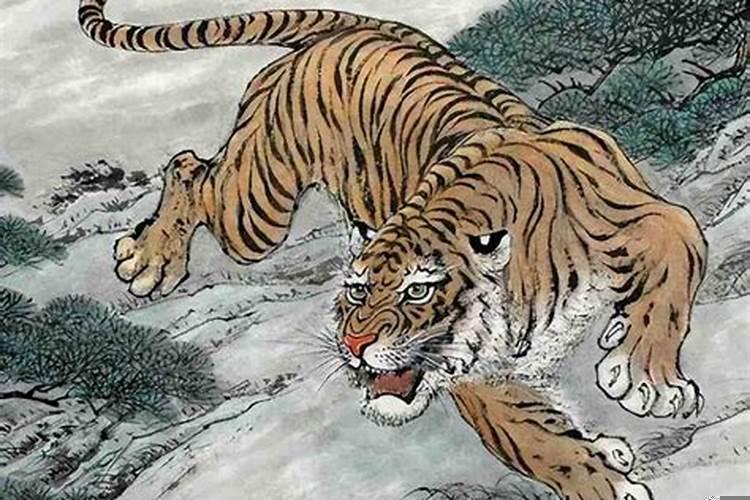 生肖虎做什么生意好