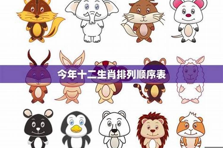 生肖2022年运势及运程