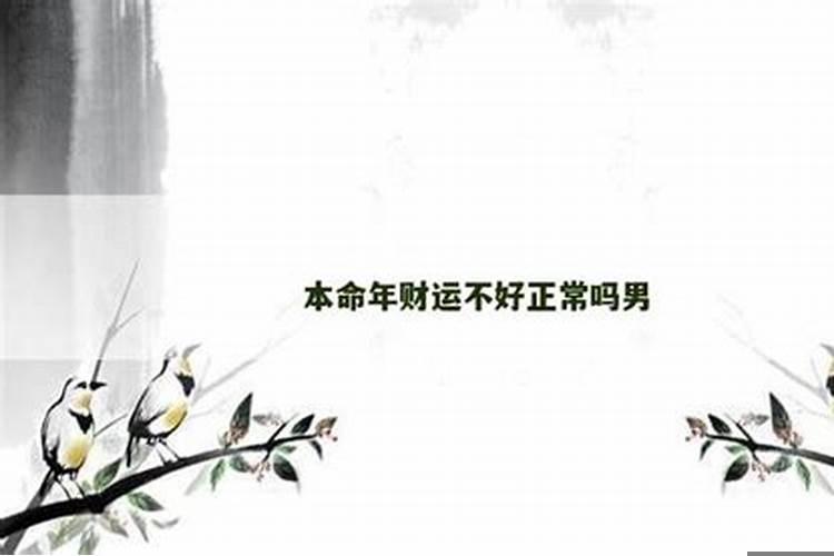 十二生肖守护神十二生肖保护神