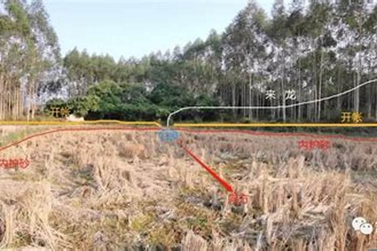 坟墓上面有坟，有影响吗?