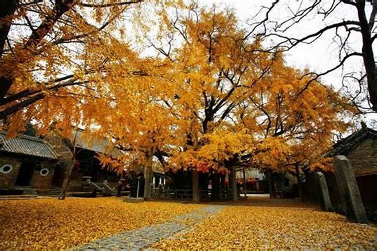 进门看见客厅好吗