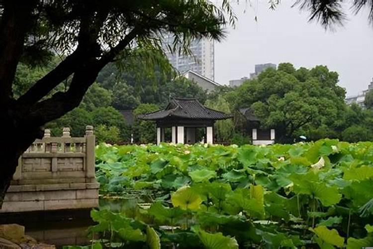 每个人一生的财运都是有定数的吗