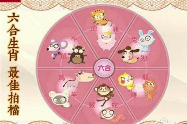 夫妻生肖相合，就是完美的婚姻搭配吗