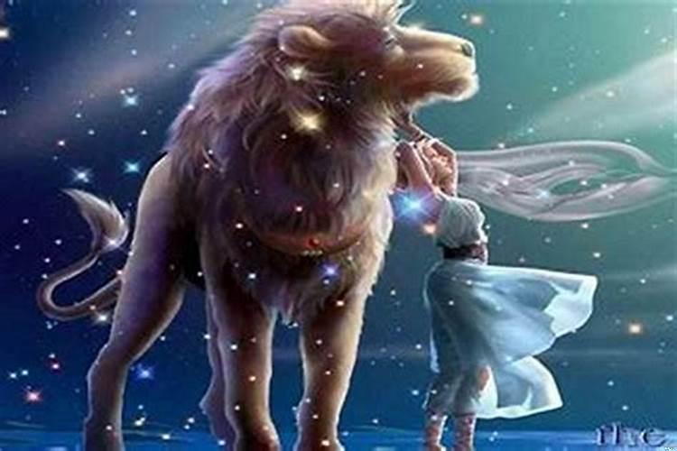 狮子座不怎么理你是不是就不怎么喜欢你了