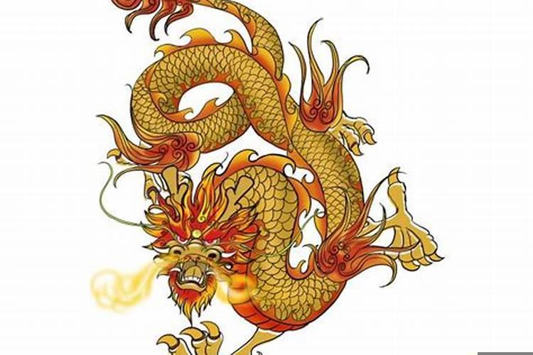 男属蛇和女属龙相克吗