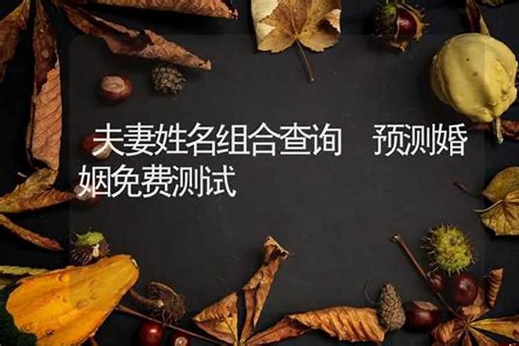 查看男女婚姻配