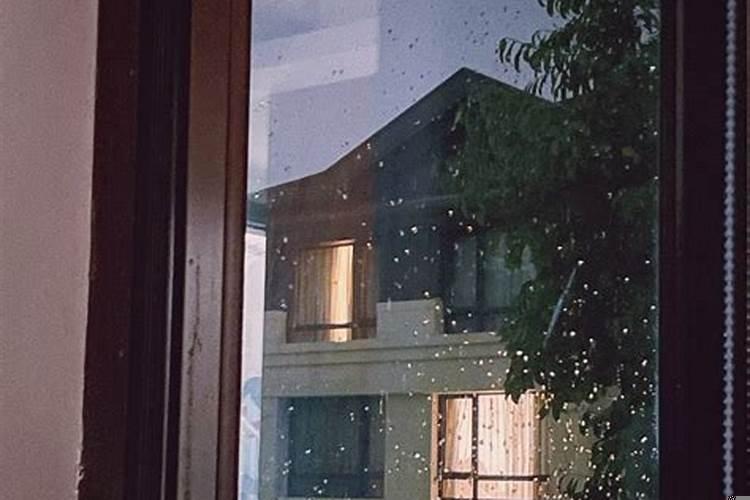 怎样与嫉妒心强的人相处和谐