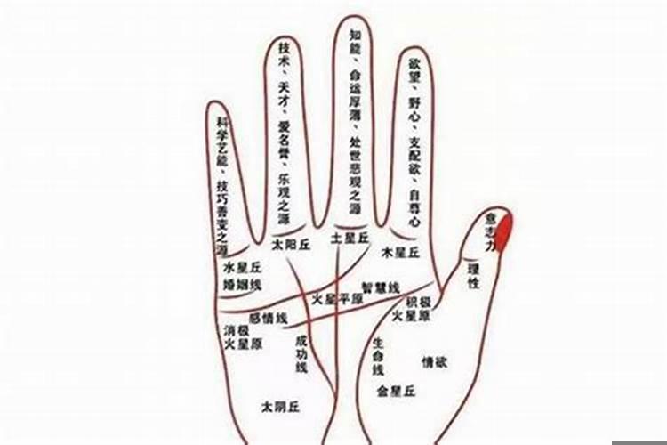 手相看你的婚姻准死了男