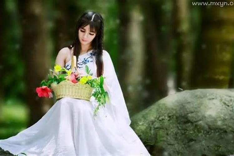 梦见小女人_梦见小女人相关