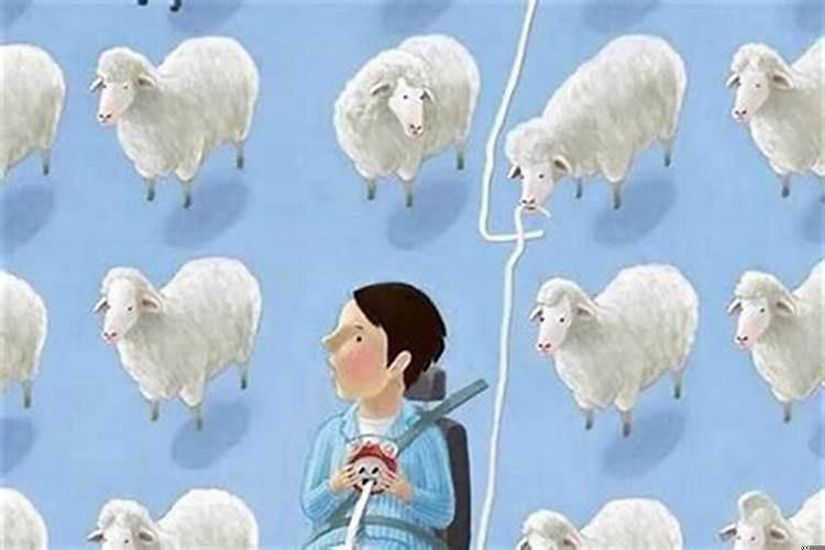 兔羊属相婚配好吗