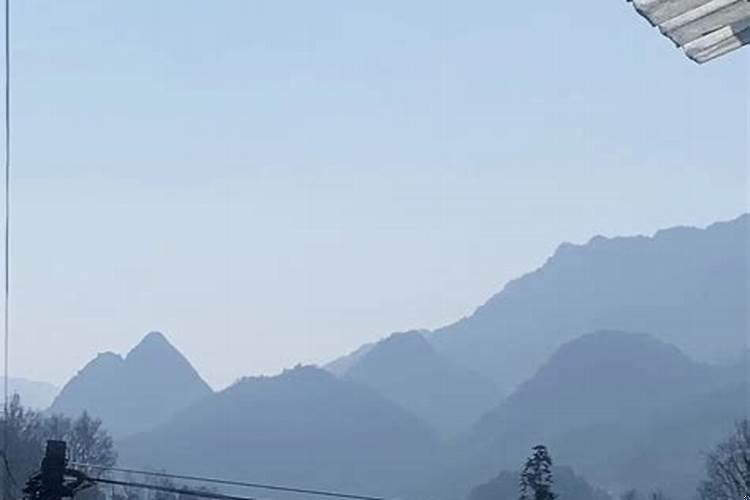 上坟的时候看到蛇