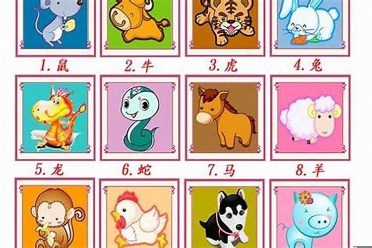 前途无量是什么生肖动物最佳