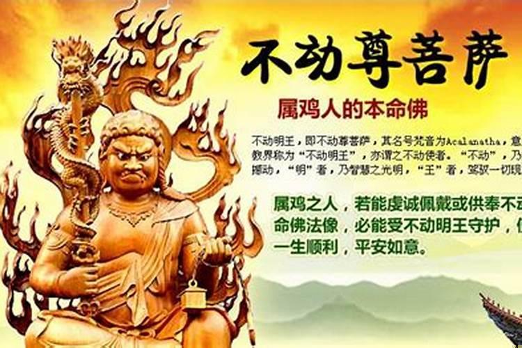 不动明王是什么生肖本命佛