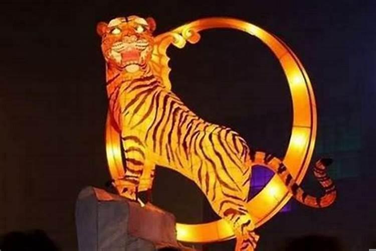 生肖虎做什么生意好