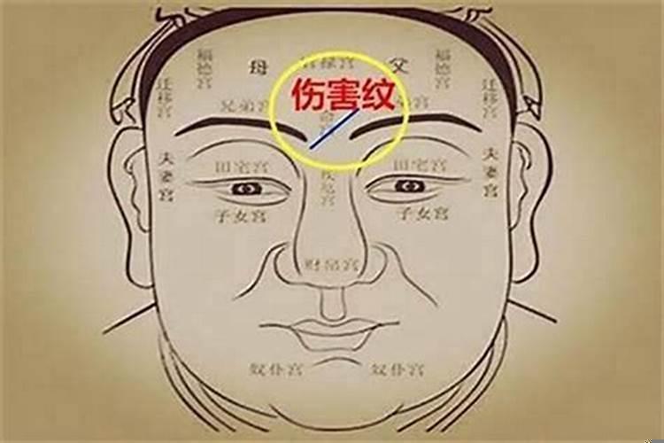 面相看财运为何这么准