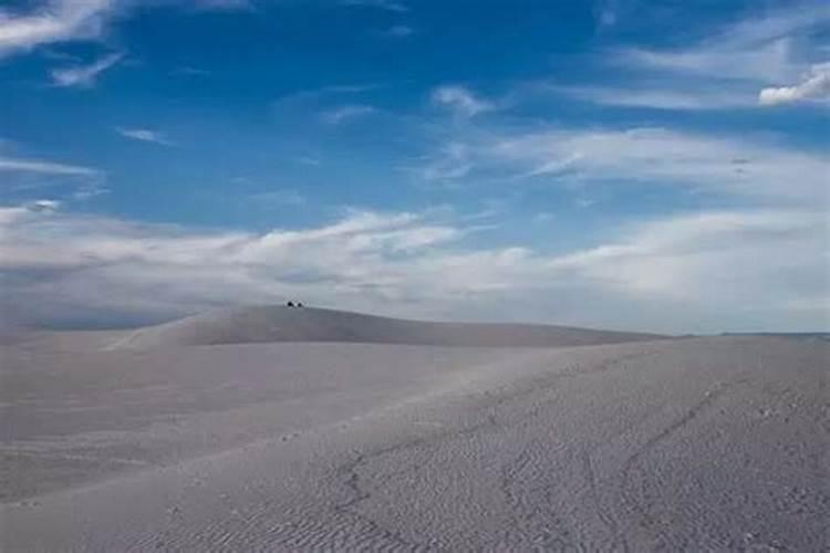 2025年事业运好的星座