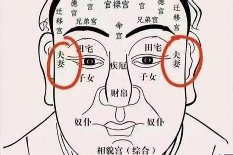 属龙人办公桌方位